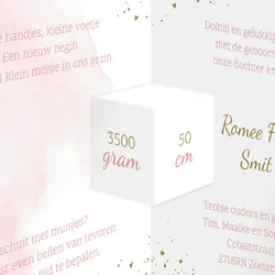 Geboortekaart drieluik met regenboog roze