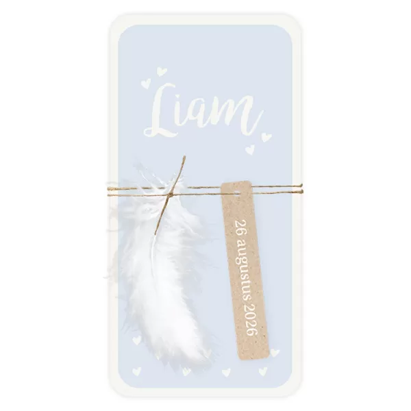 Geboortekaart enkel lichtblauw met label en veer
