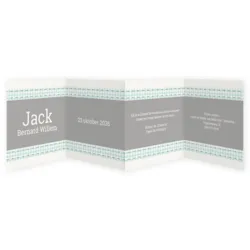 vierluik Jack