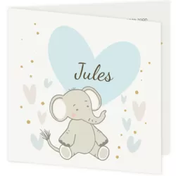 Lief olifantje voor hartje - jules