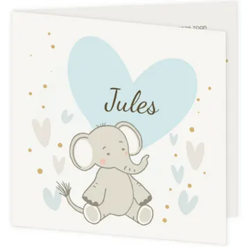 Lief olifantje voor hartje - jules