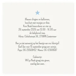 Kraamborrel wereldbol blauw