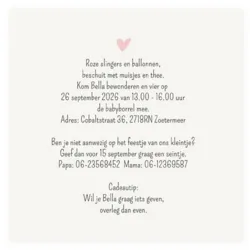 Kraamborrel wereldbol roze