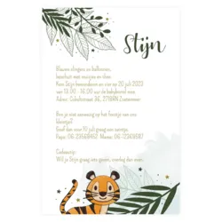 Babyborrel met een stoere tijger