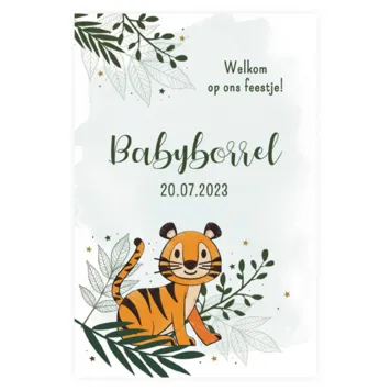 Babyborrel met een stoere tijger