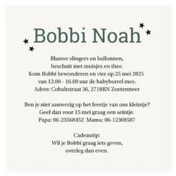 Babyborrel schuine vlakken jongen groen