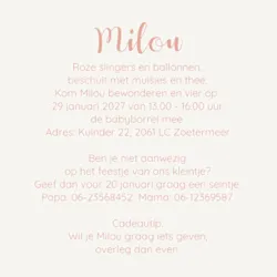 Babyborrel wereldkaart met foliedruk