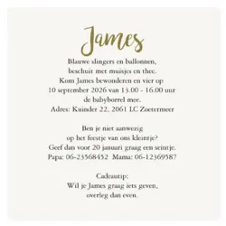 Kraamborrel broertje silhouet zwart met foliedruk