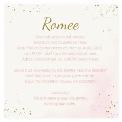 Babyborrel drieluik met regenboog roze