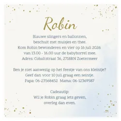 Babyborrel drieluik met regenboog blauw