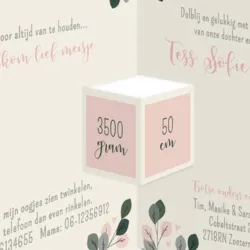 Geboortekaart drieluik botanisch blaadjes meisje
