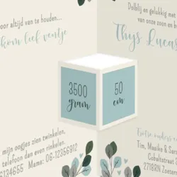 Geboortekaart drieluik botanisch blaadjes jongen