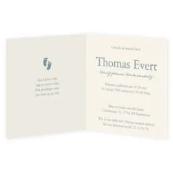 Thomas - frans blauwe strik