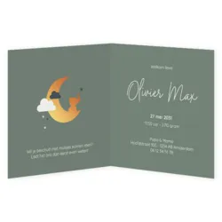 Lief geboortekaartje met grote maan en olifantje in goudlook, wolkjes en sterren