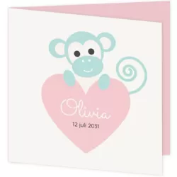 Lief geboortekaartje voor een meisje met eenvoudige illustratie van een aapje achter een groot hart
