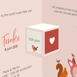Drieluik geboortekaartje voor een meisje met groot hart en dieren hertje eekhoorn egel en vogeltjes