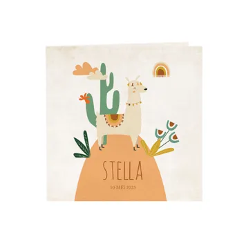 Trendy geboortekaartje met een vorlijke alpaca