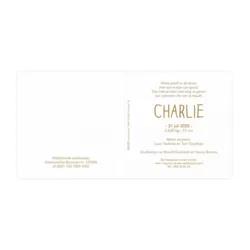 Wit blanco geboortekaartje in luxe papier - Mix and match
