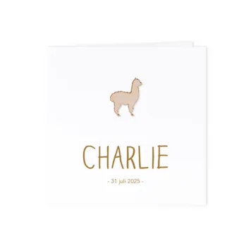 Wit blanco geboortekaartje in luxe papier - Mix and match