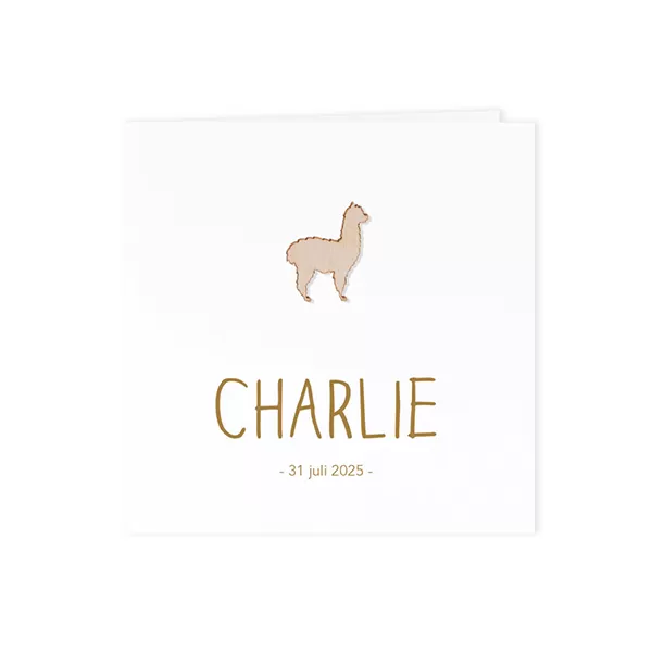 Wit blanco geboortekaartje in luxe papier - Mix and match