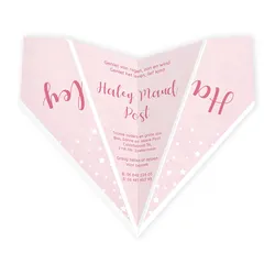 Vliegtuig kaartje sterren roze