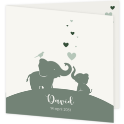 Lief geboortekaartje voor een jongen met 2 olifantjes en hartjes