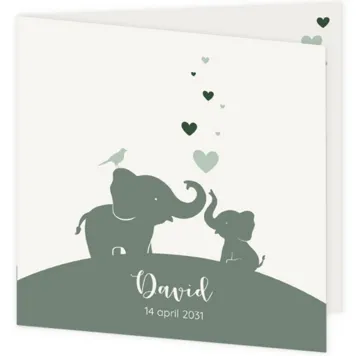 Lief geboortekaartje voor een jongen met 2 olifantjes en hartjes