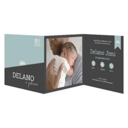 Het gaat bergop (Delano)