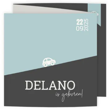 Het gaat bergop (Delano)