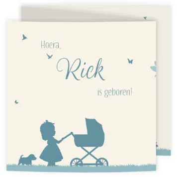 Geboortekaartje silhouet grote zus en baby broertje