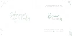 Geboortekaart Bowie - Zachtgroen met gouden blaadje
