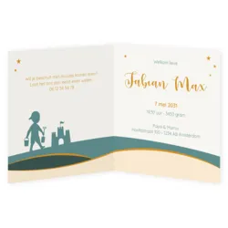 Geboortekaart zomer met silhouet jongen
