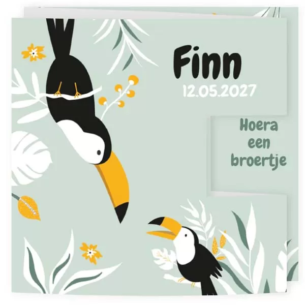 Geboortekaart drieluik toekan