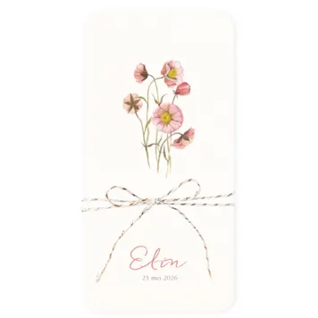 Bosje roze veldbloemen