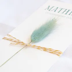 Droogbloem blauw - Mathias