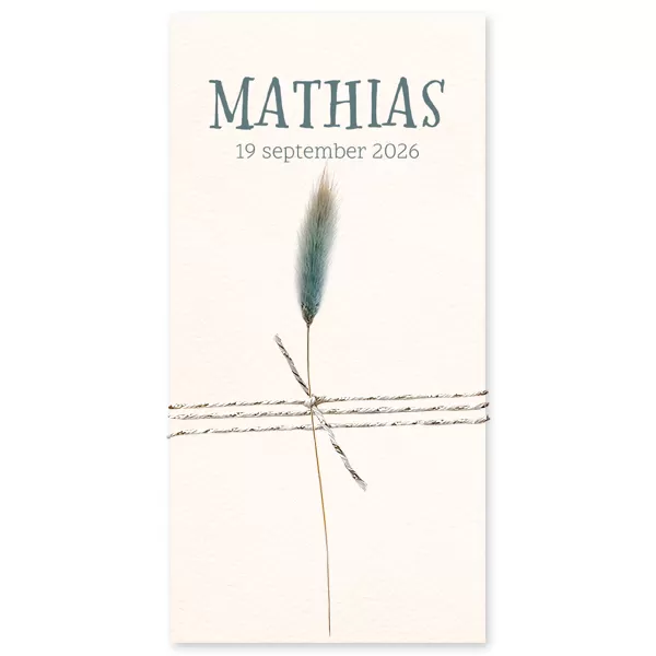 Droogbloem blauw - Mathias