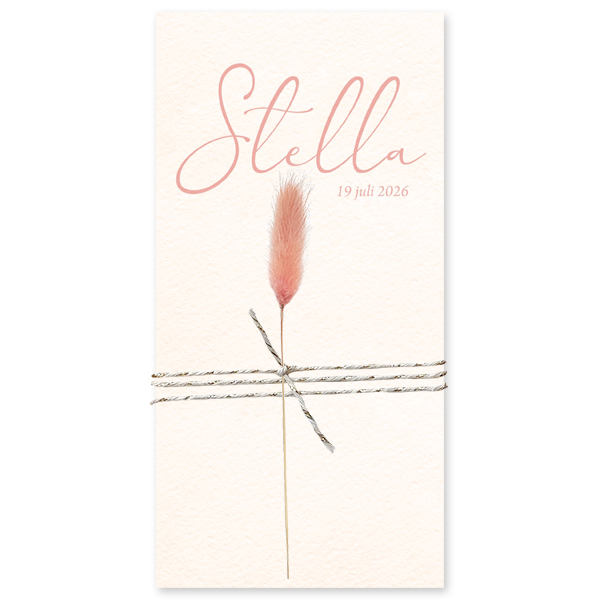 Droogbloem roze - Stella