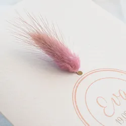 Geboortekaart Eva met een roze droogbloem