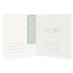 Geboortekaart mint kader typografisch