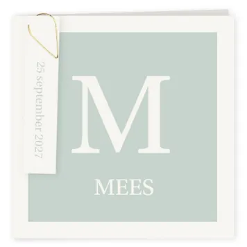 Geboortekaart mint kader typografisch