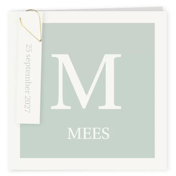 Geboortekaart mint kader typografisch
