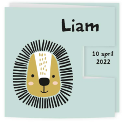 Geboortekaartjes in de kleur Mint - geboortekaartje LCM633