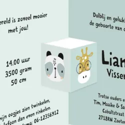 Geboortekaart drieluik mintgroen met dieren