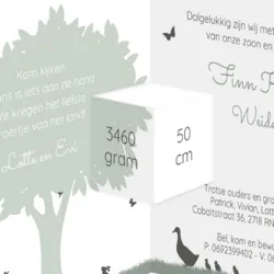 Geboortekaart silhouet grote zussen kinderwagen stans