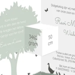 Geboortekaart silhouet grote zus en broer kinderwagen stans