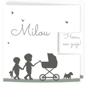 Geboortekaart silhouet grote broers kinderwagen stans