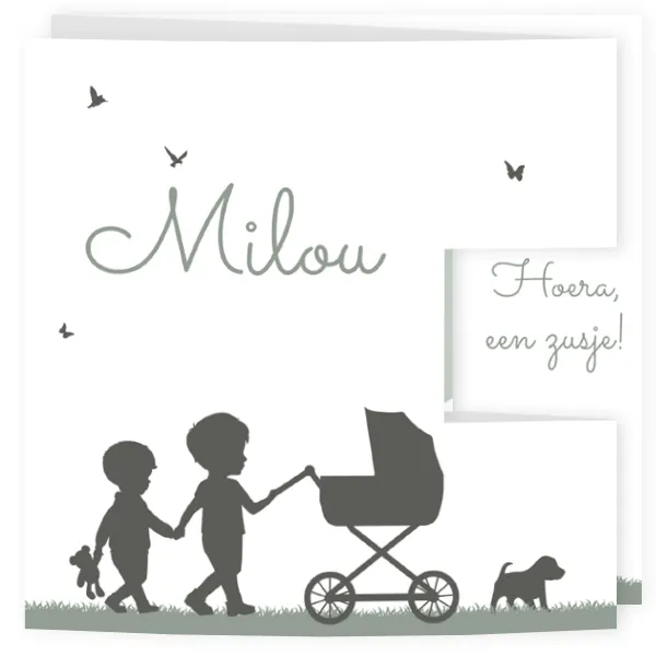 Geboortekaart silhouet grote broers kinderwagen stans