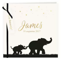 Geboortekaartje olifanten silhouet broertje met label en foliedruk