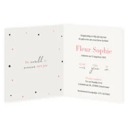 Geboortekaart roze flamingo met sterren