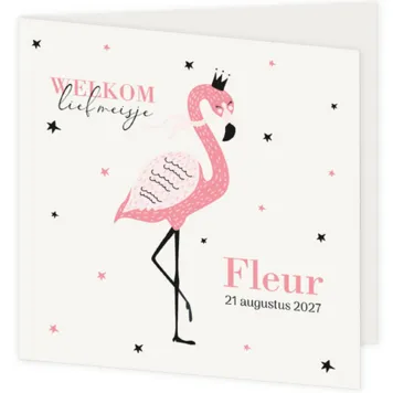 Geboortekaart roze flamingo met sterren